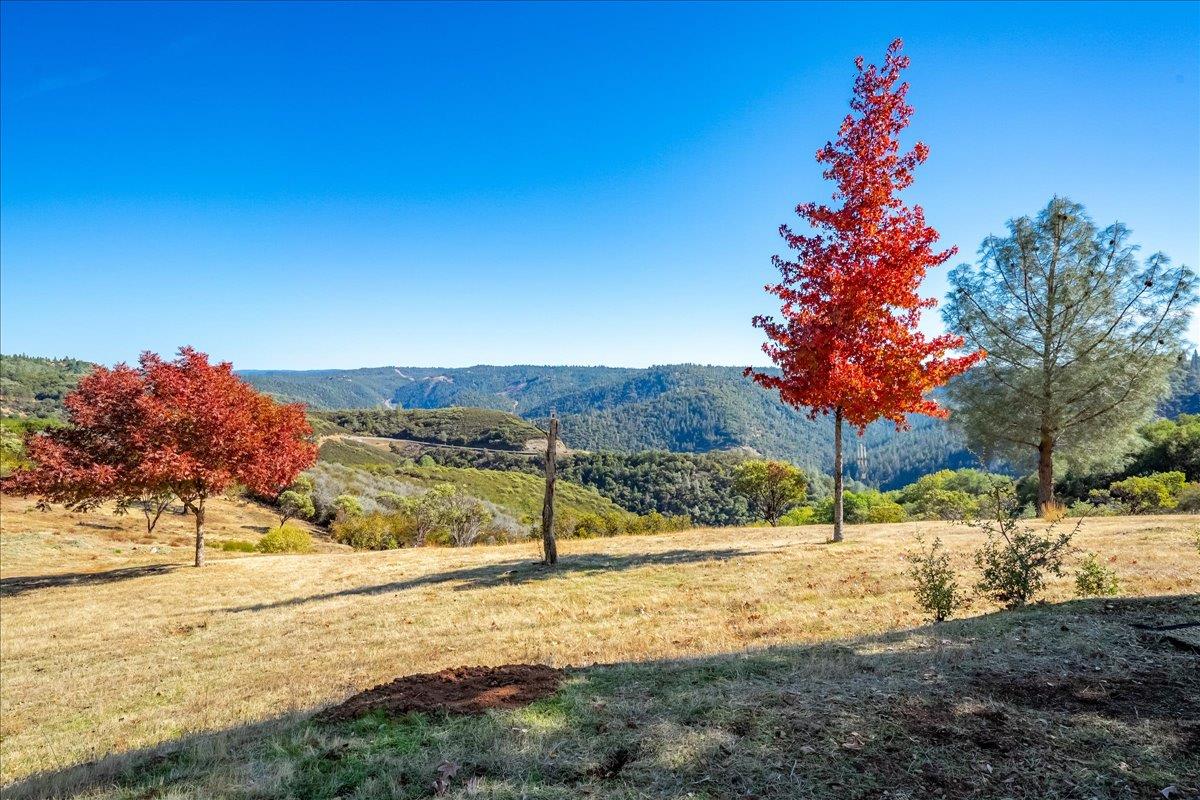 7155 Stewart Mine Road Placerville, CA 95667 - Photo 32 of 68 a view of a yard with a tree