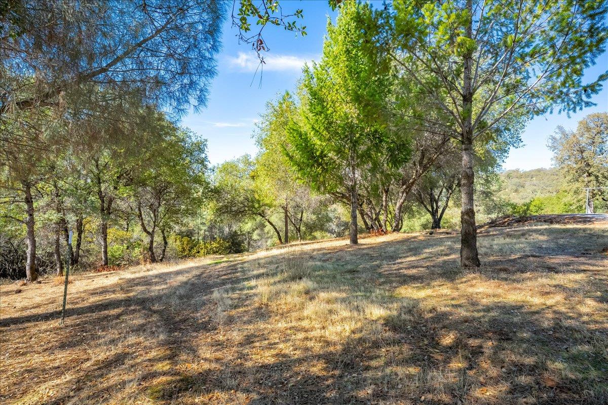 7155 Stewart Mine Road Placerville, CA 95667 - Photo 34 of 68 a view of a yard with large trees