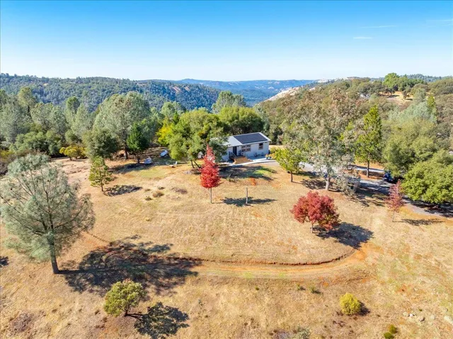 a view of a yard with trees