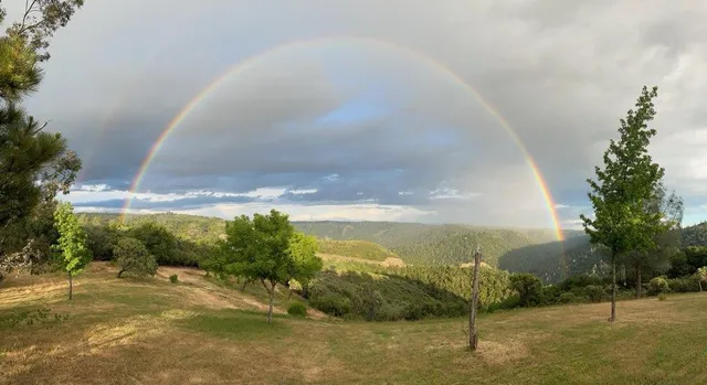 a view of a golf course with a yard