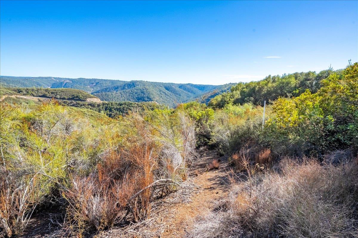 7155 Stewart Mine Road Placerville, CA 95667 - Photo 51 of 68