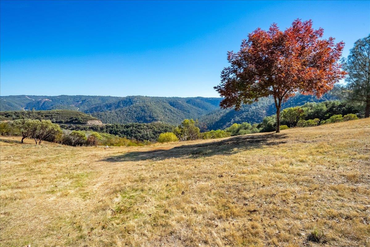 7155 Stewart Mine Road Placerville, CA 95667 - Photo 54 of 68 a view of a yard with an outdoor space