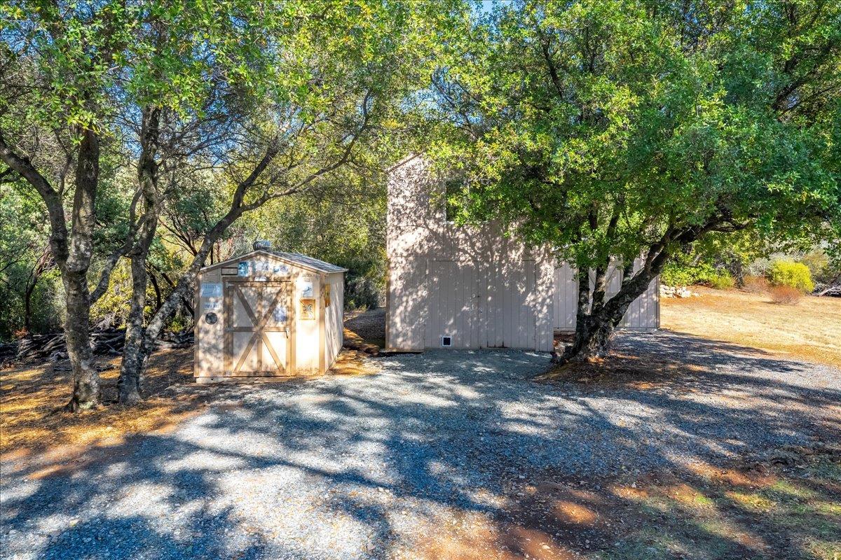 7155 Stewart Mine Road Placerville, CA 95667 - Photo 56 of 68 a view of a yard with a tree