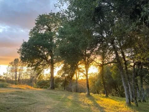 $485,000 | 7155 Stewart Mine Road, Placerville, CA 95667