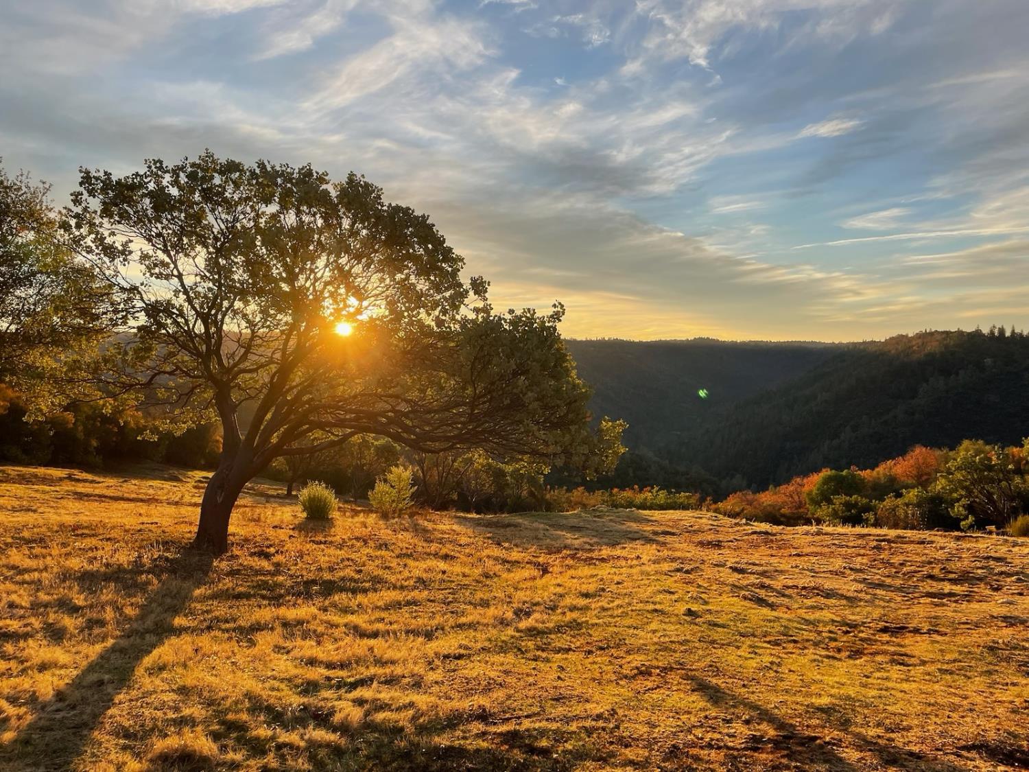 7155 Stewart Mine Road Placerville, CA 95667 - Photo 61 of 68 a view of a snow on the road