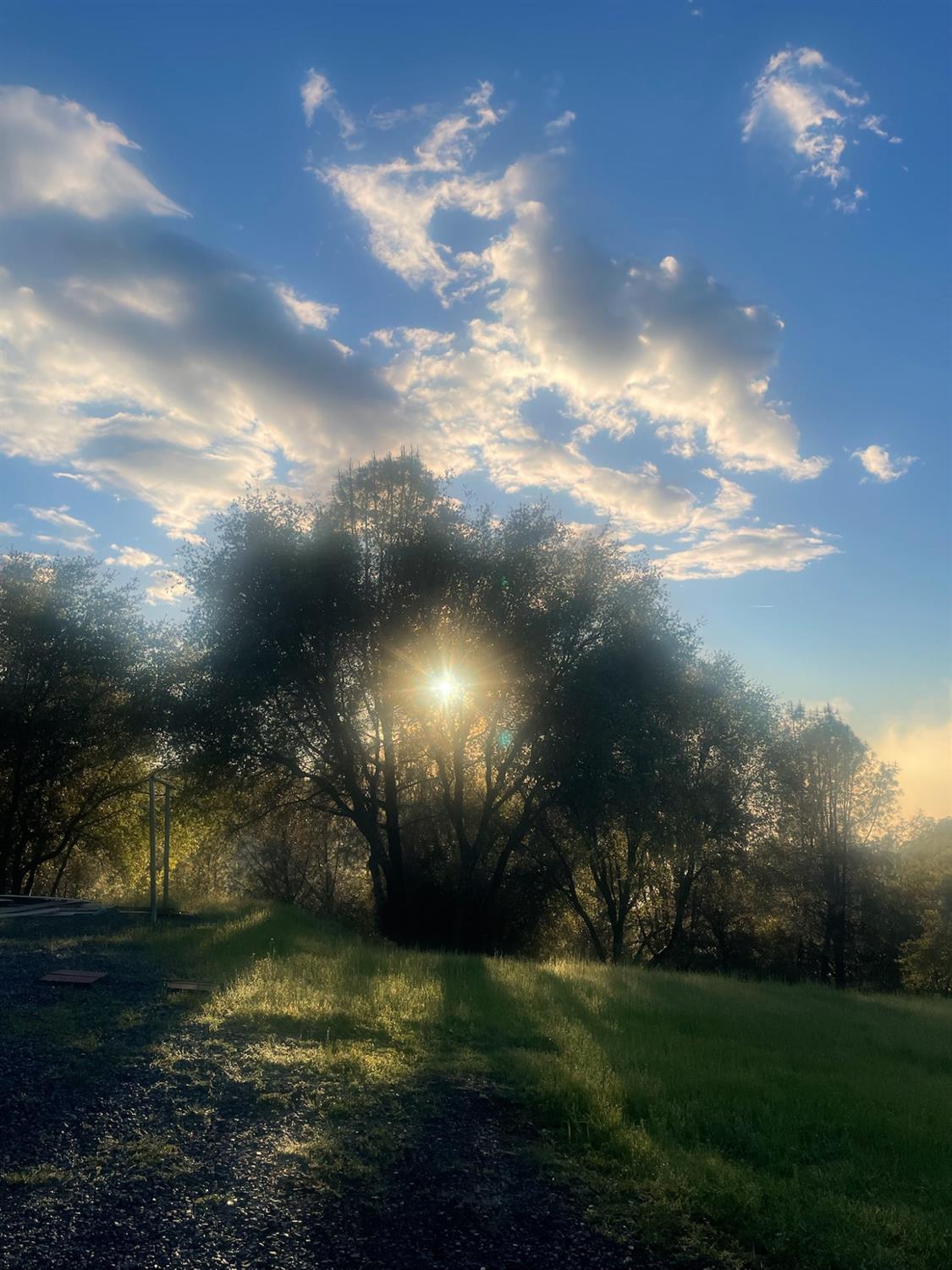 7155 Stewart Mine Road Placerville, CA 95667 - Photo 62 of 68 a view of a golf course with a yard
