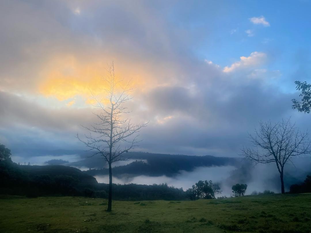 7155 Stewart Mine Road Placerville, CA 95667 - Photo 64 of 68