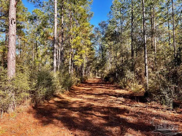 $269,000 | Lot 2 Denali Road, Jay, FL 32565
