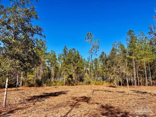 $269,000 | Lot 2 Denali Road, Jay, FL 32565