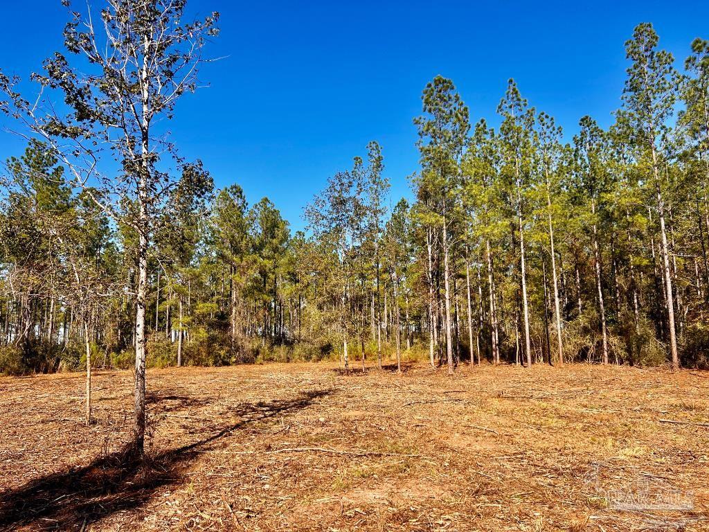 Lot 2 Denali Road Jay, FL 32565 - Photo 13 of 23