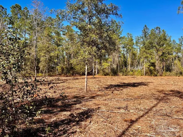 $269,000 | Lot 2 Denali Road, Jay, FL 32565