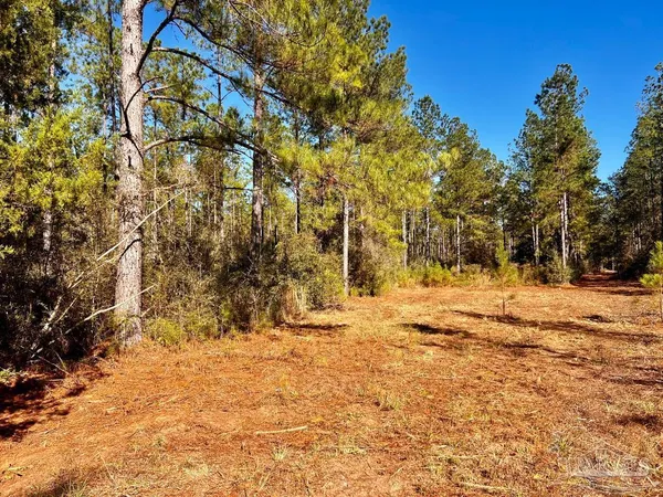 $269,000 | Lot 2 Denali Road, Jay, FL 32565