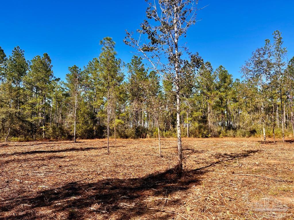 Lot 2 Denali Road Jay, FL 32565 - Photo 2 of 23