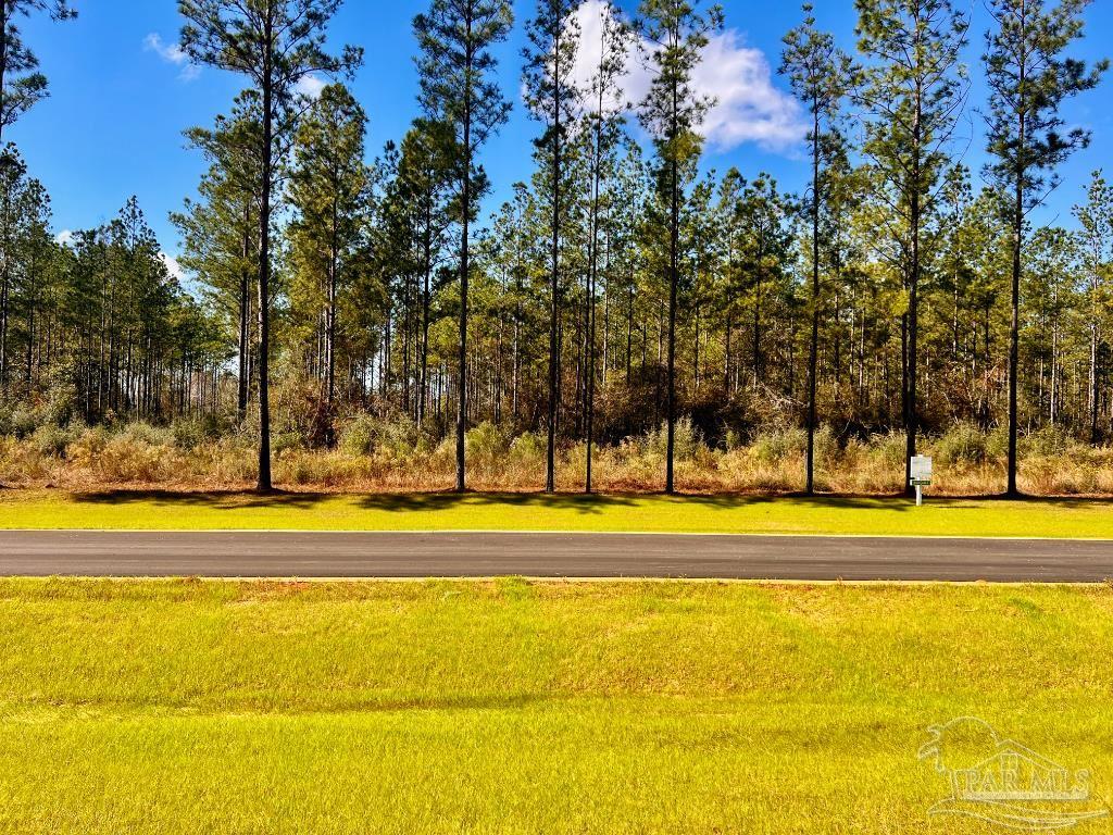 Lot 2 Denali Road Jay, FL 32565 - Photo 6 of 23