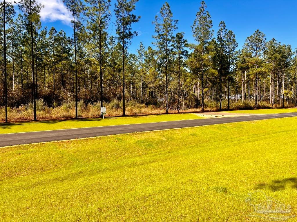 Lot 2 Denali Road Jay, FL 32565 - Photo 8 of 23