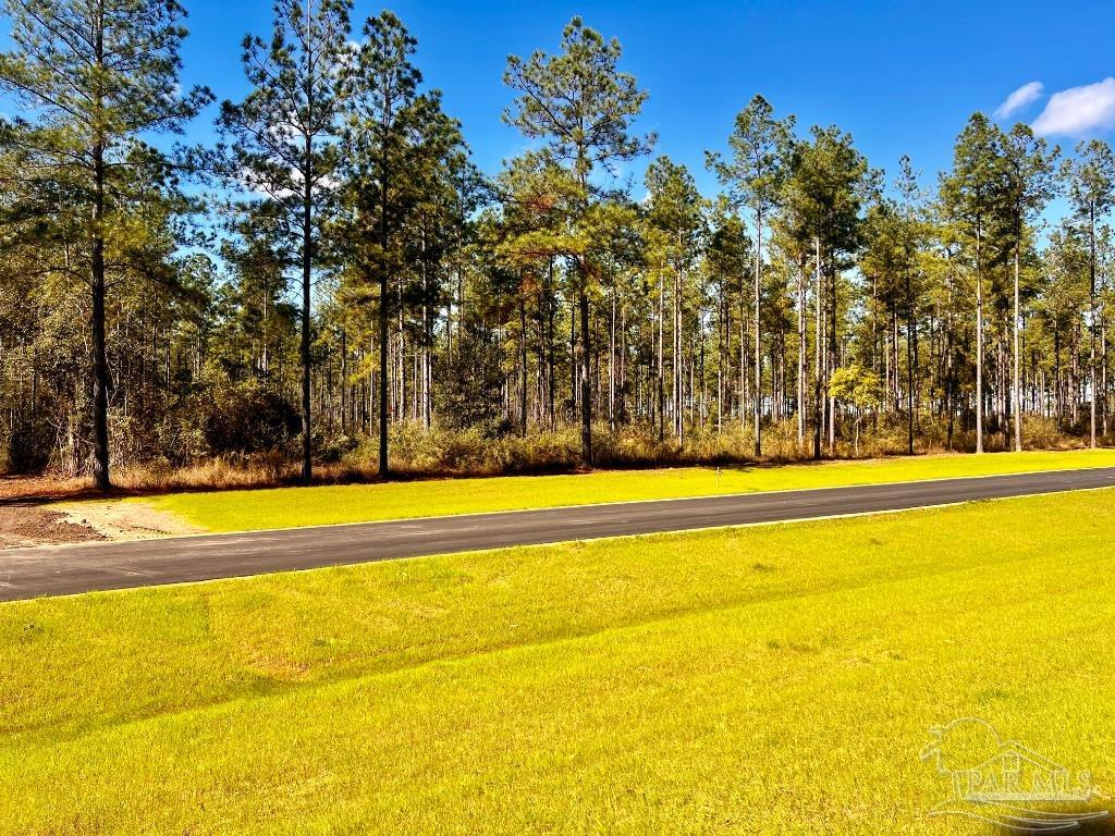 Lot 2 Denali Road Jay, FL 32565 - Photo 9 of 23