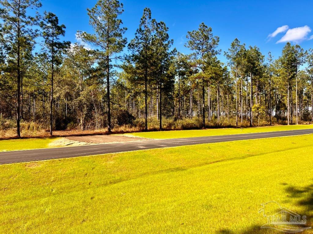 Lot 2 Denali Road Jay, FL 32565 - Photo 10 of 23