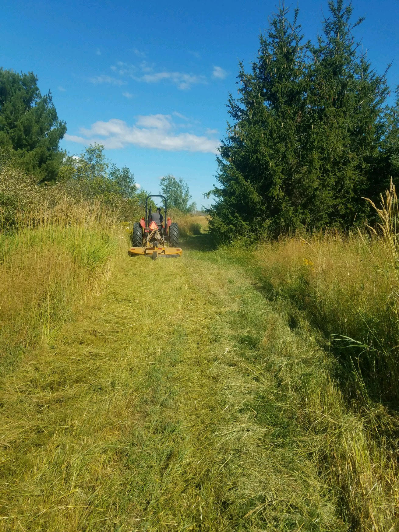 43-acres South Ridge Road Sault Ste. Marie, MI 49783 - Photo 4 of 24 Gallery Image 4