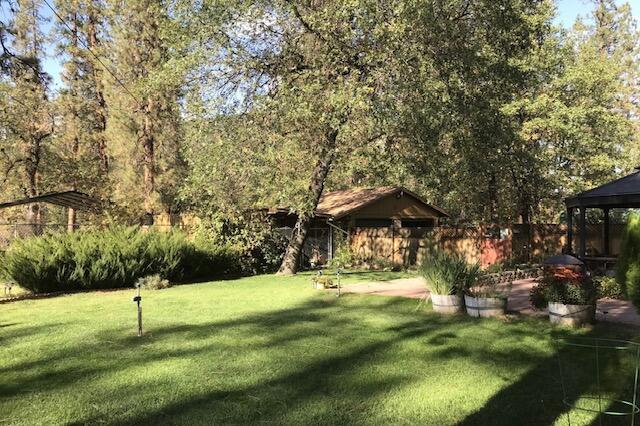 121 Wellock Road Lewiston, CA 96052 - Photo 37 of 56 IMG_7907 (1)