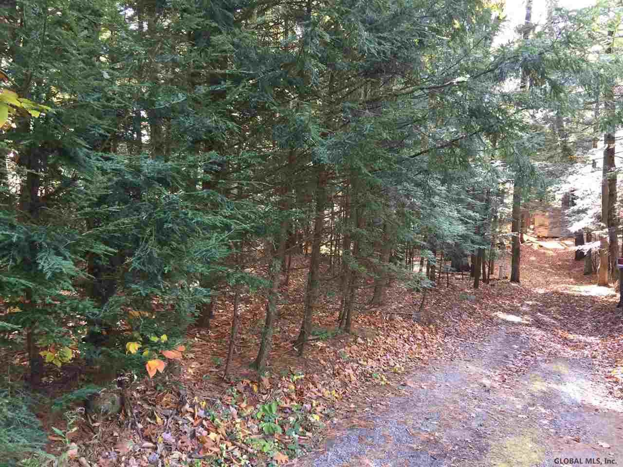 6048 Sahara Road Galway, NY 12074 - Photo 1 of 4 Photo 1