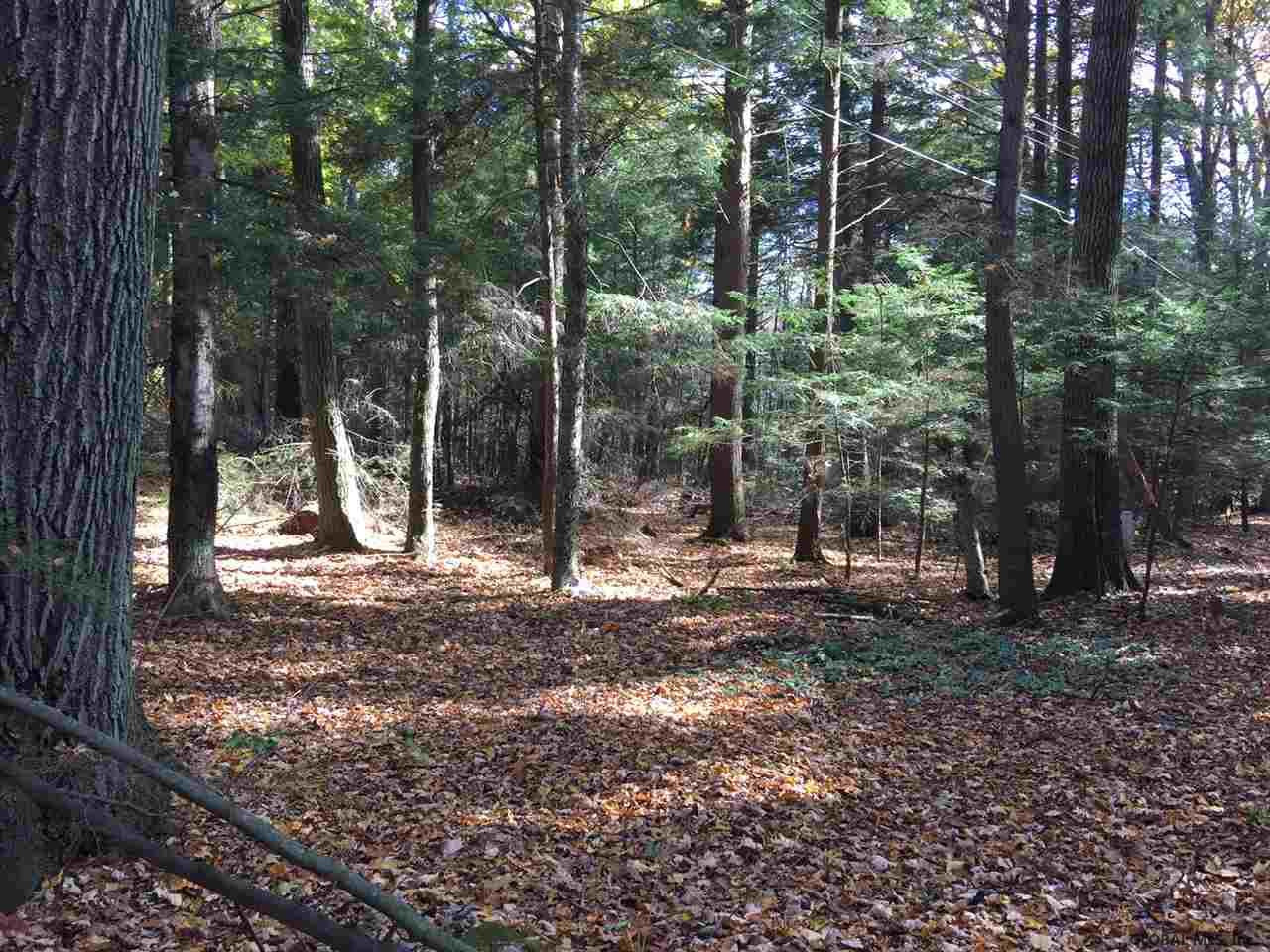 6048 Sahara Road Galway, NY 12074 - Photo 2 of 4 Photo 2