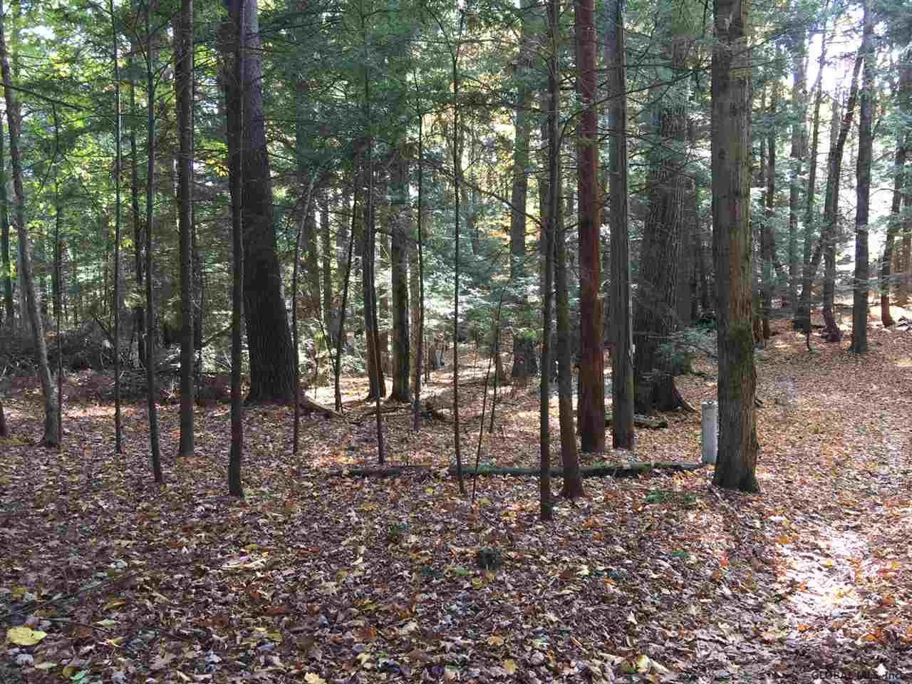 6048 Sahara Road Galway, NY 12074 - Photo 4 of 4 Photo 4