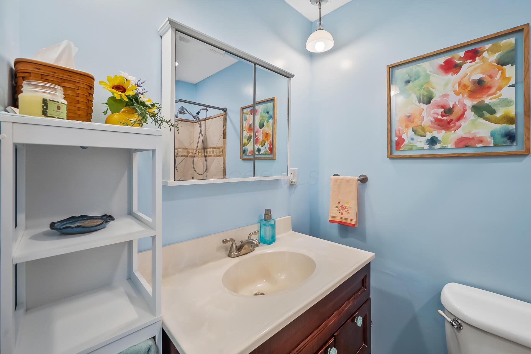 19 Vaughn Road Delaware, OH 43015 - Photo 24 of 32 Full Bath