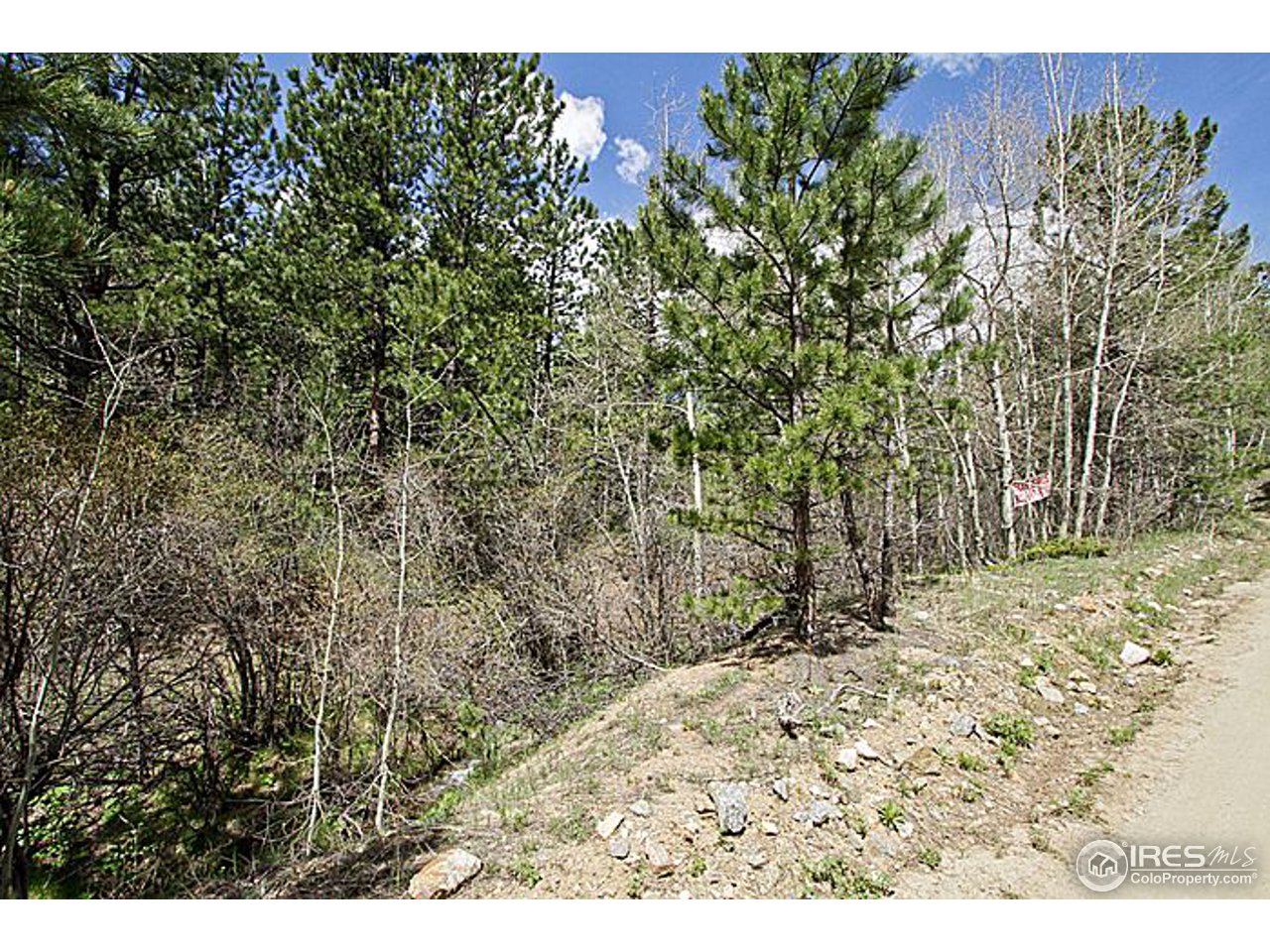 1782 Old Townsite Road Boulder, CO 80302 - Photo 11 of 23 Gallery Image 11