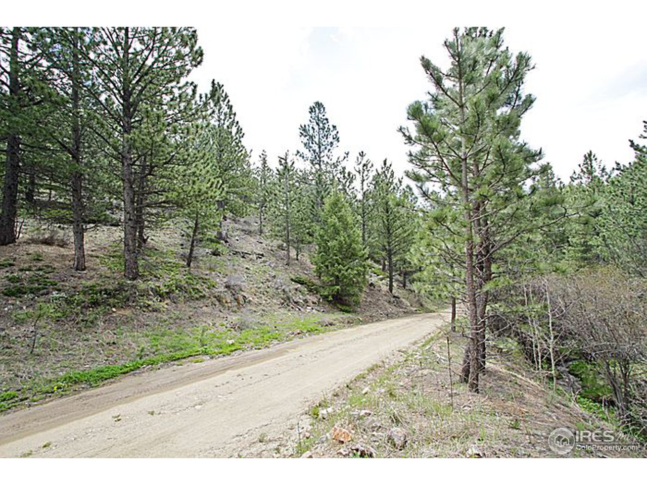 1782 Old Townsite Road Boulder, CO 80302 - Photo 12 of 23 Gallery Image 12