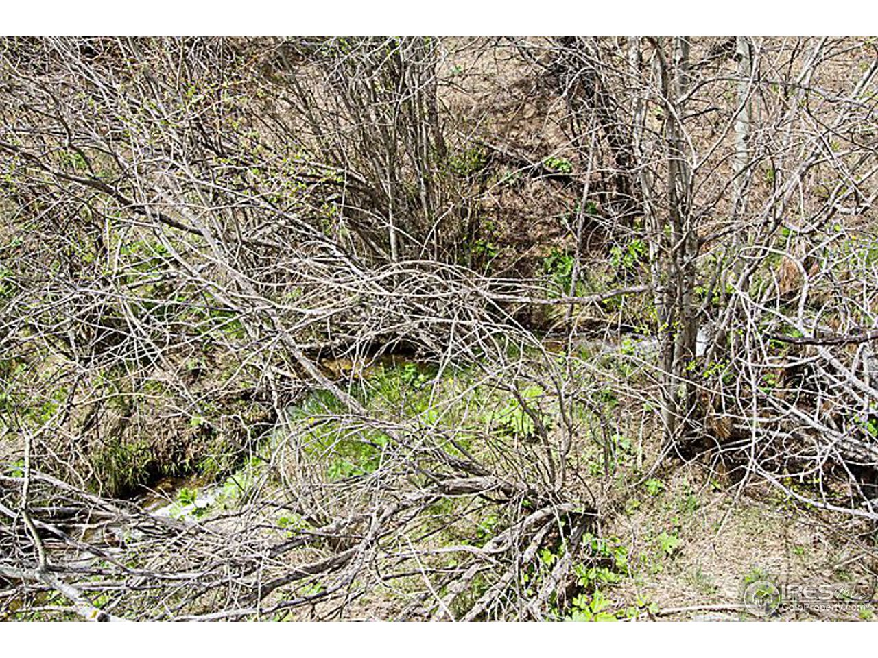 1782 Old Townsite Road Boulder, CO 80302 - Photo 17 of 23 Gallery Image 17