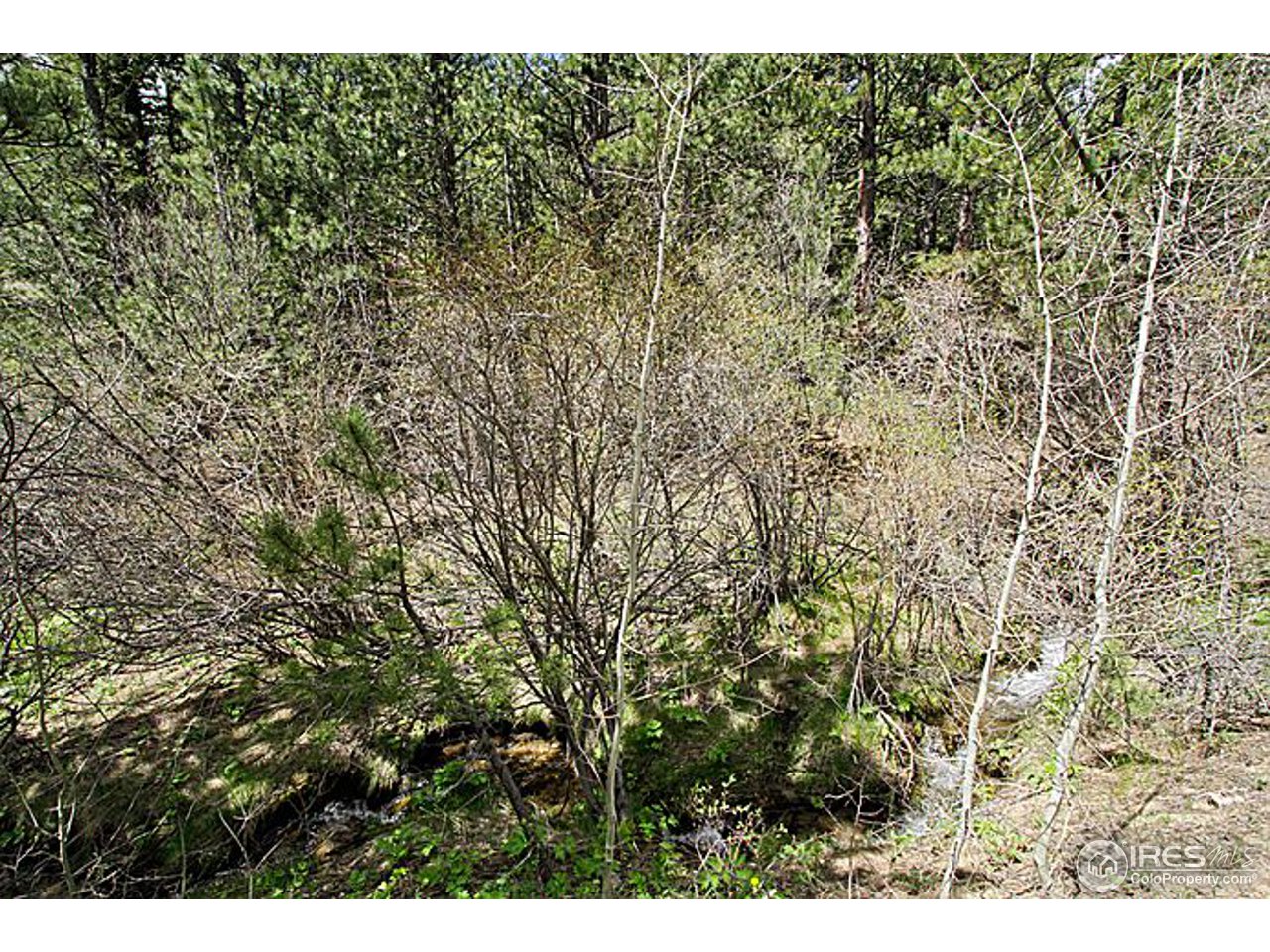 1782 Old Townsite Road Boulder, CO 80302 - Photo 18 of 23 Gallery Image 18