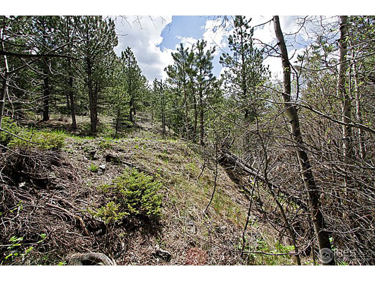 1782 Old Townsite Road Boulder, CO 80302 - Photo 2 of 23 Gallery Image 2