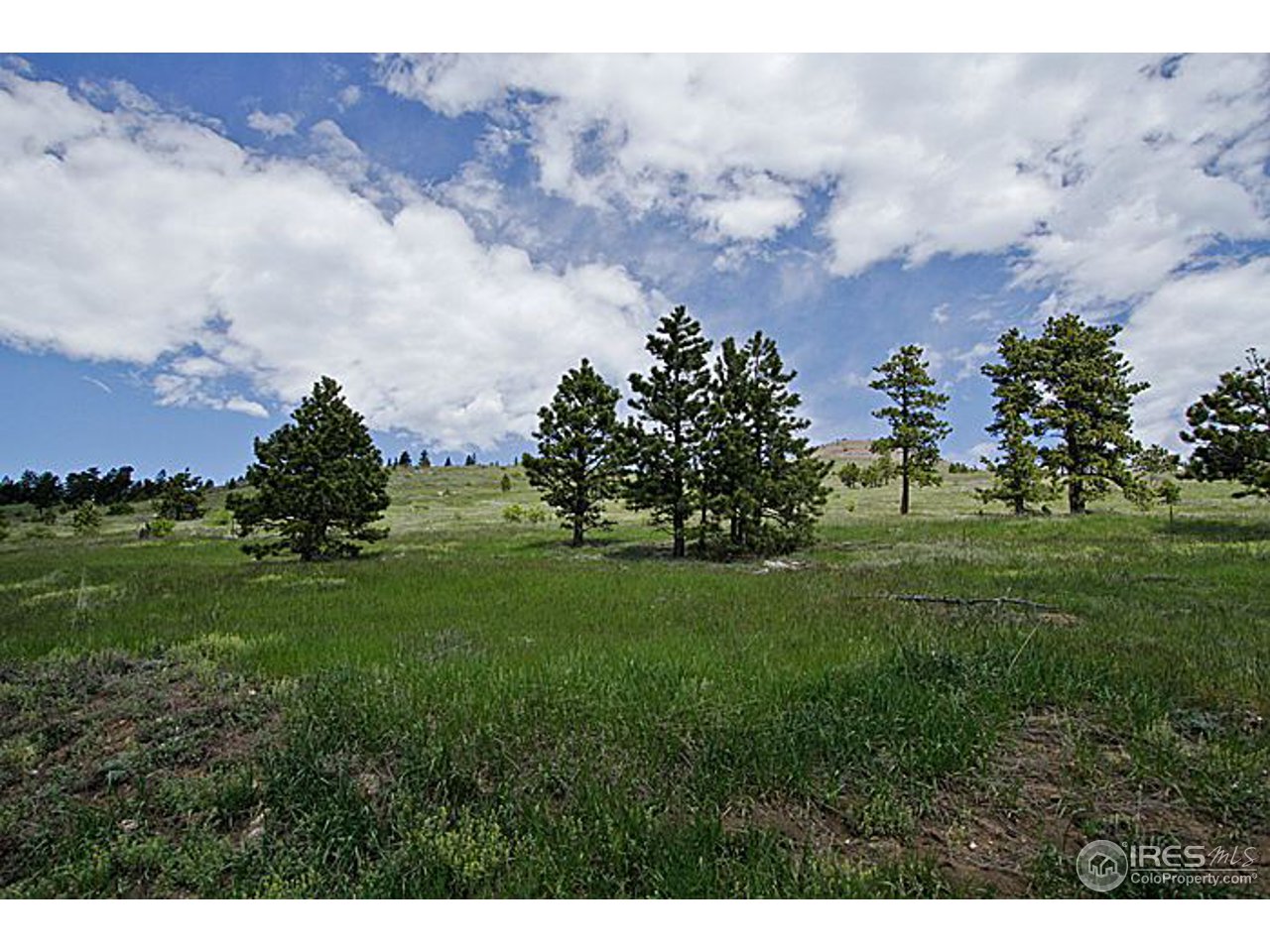 1782 Old Townsite Road Boulder, CO 80302 - Photo 23 of 23 One more view before reaching property