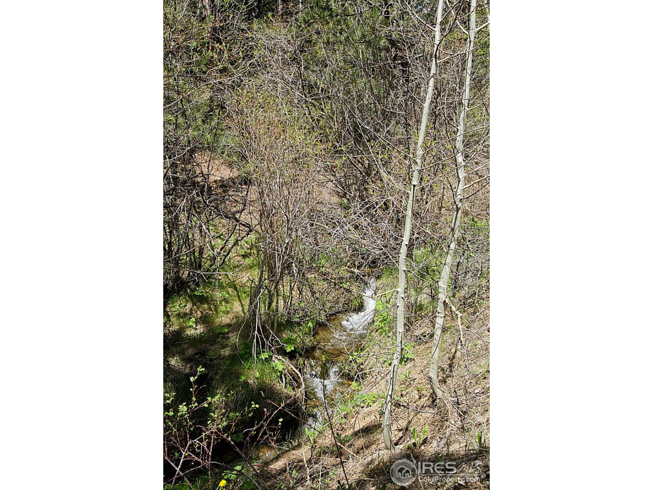 1782 Old Townsite Road Boulder, CO 80302 - Photo 3 of 23 Gallery Image 3