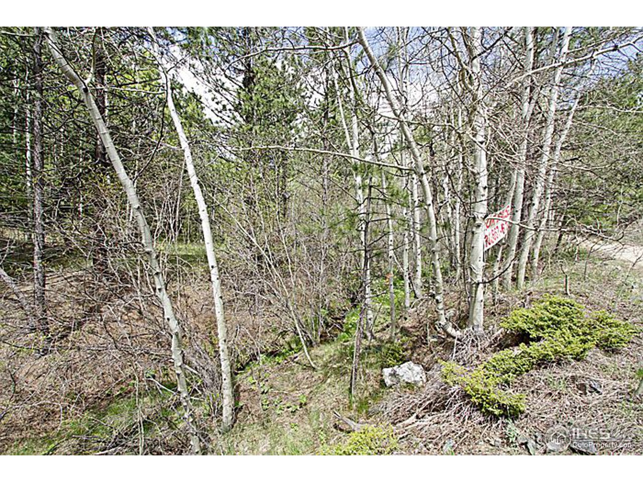 1782 Old Townsite Road Boulder, CO 80302 - Photo 6 of 23 Gallery Image 6