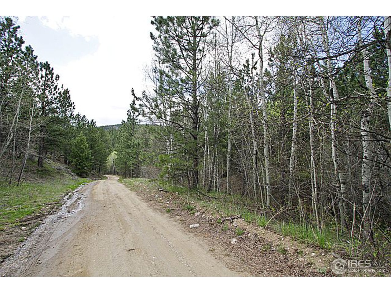 1782 Old Townsite Road Boulder, CO 80302 - Photo 7 of 23 Gallery Image 7