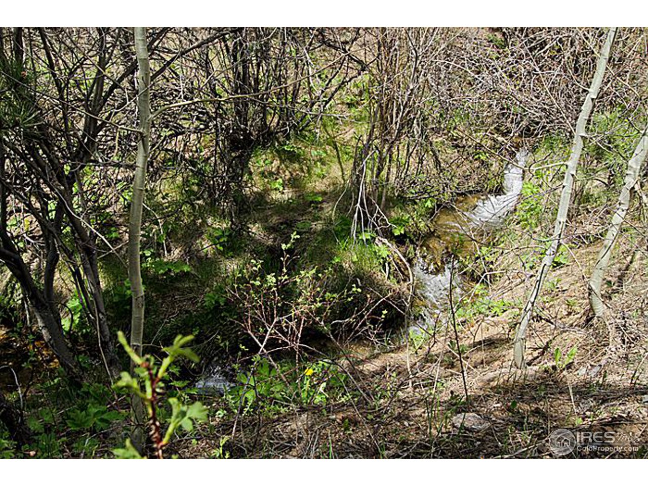 1782 Old Townsite Road Boulder, CO 80302 - Photo 10 of 23 Gallery Image 10