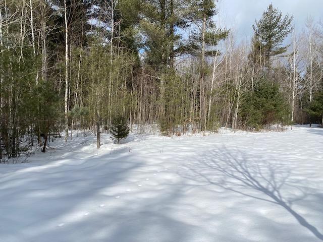 68-acres Johnson Road Brutus, MI 49716 - Photo 3 of 8 Gallery Image 3