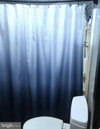 a white toilet sitting next to a shower curtain