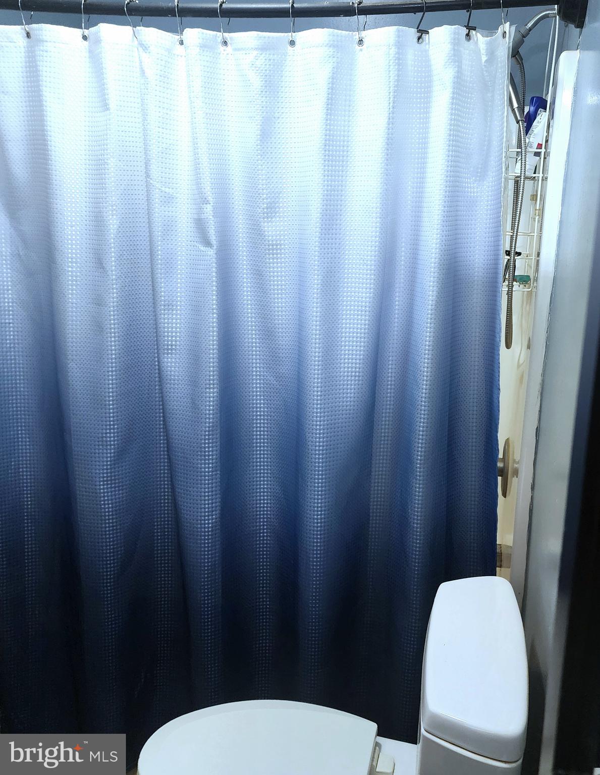 32524 Roxana Road Frankford, DE 19945 - Photo 7 of 14 a white toilet sitting next to a shower curtain