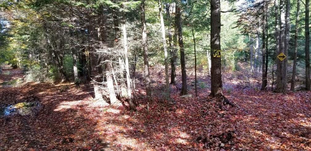2 & Swan/taylor Road New Sharon, ME 04955 - Photo 23 of 24 Photo