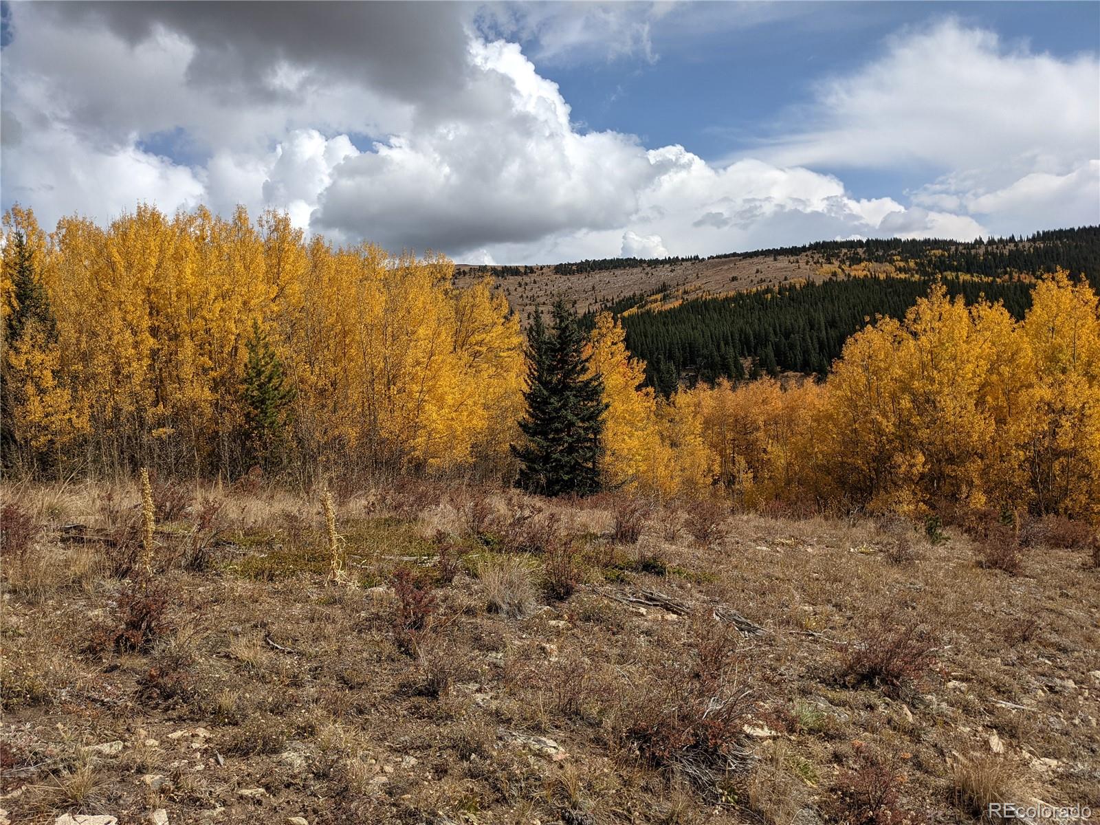 0 Snow Cap Peaks Road Fairplay, CO 80440 - Photo 14 of 20
