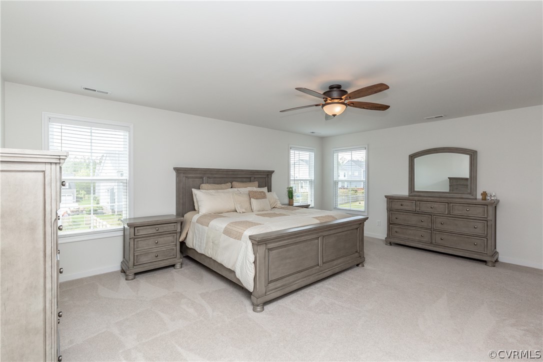 16807 Broadmoor Road Moseley, VA 23120 - Photo 31 of 41 Gallery Image 31