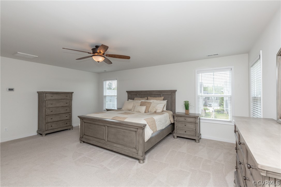 16807 Broadmoor Road Moseley, VA 23120 - Photo 32 of 41 Gallery Image 32