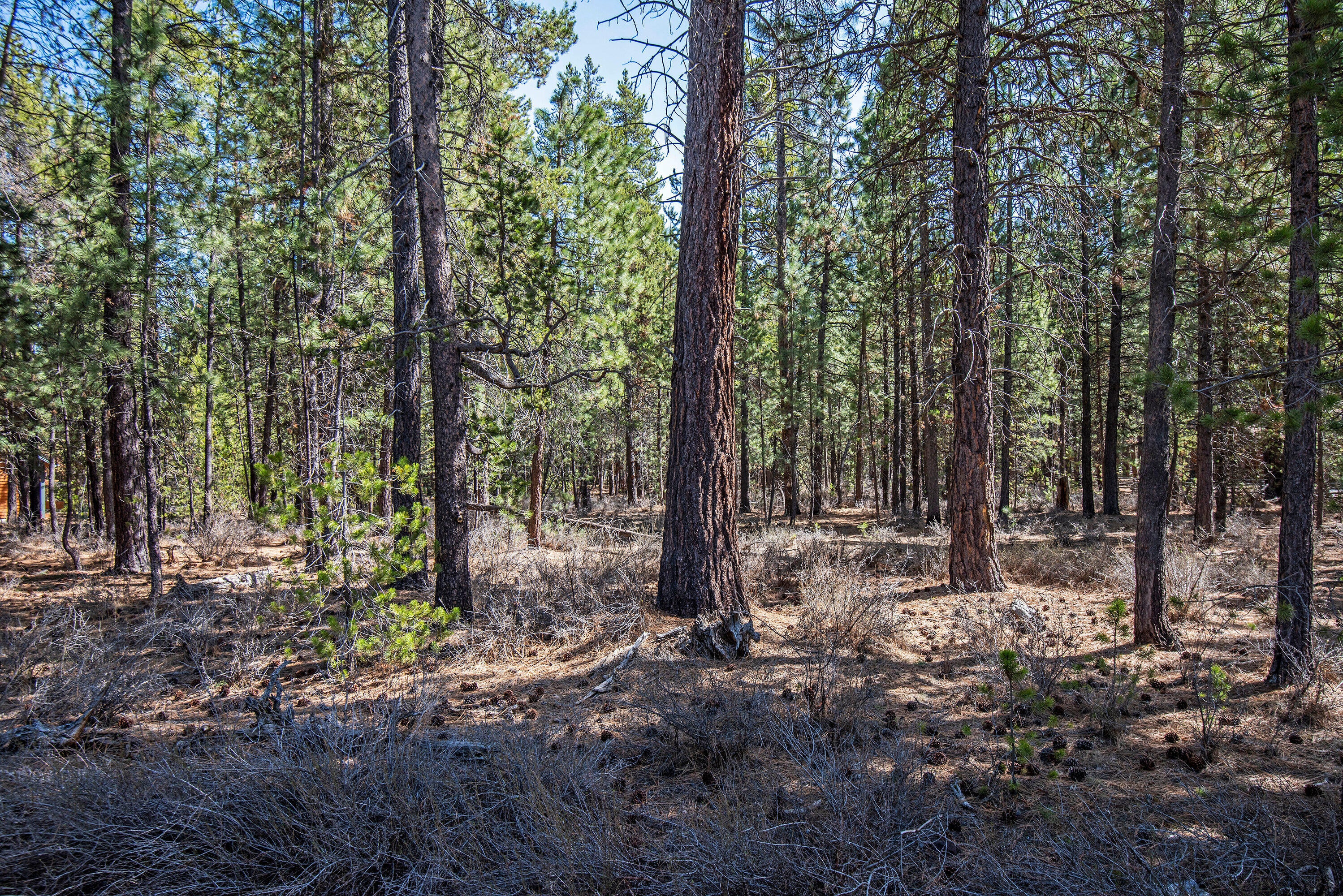 56748 Spring River Loop Bend, OR 97707 - Photo 14 of 17 12