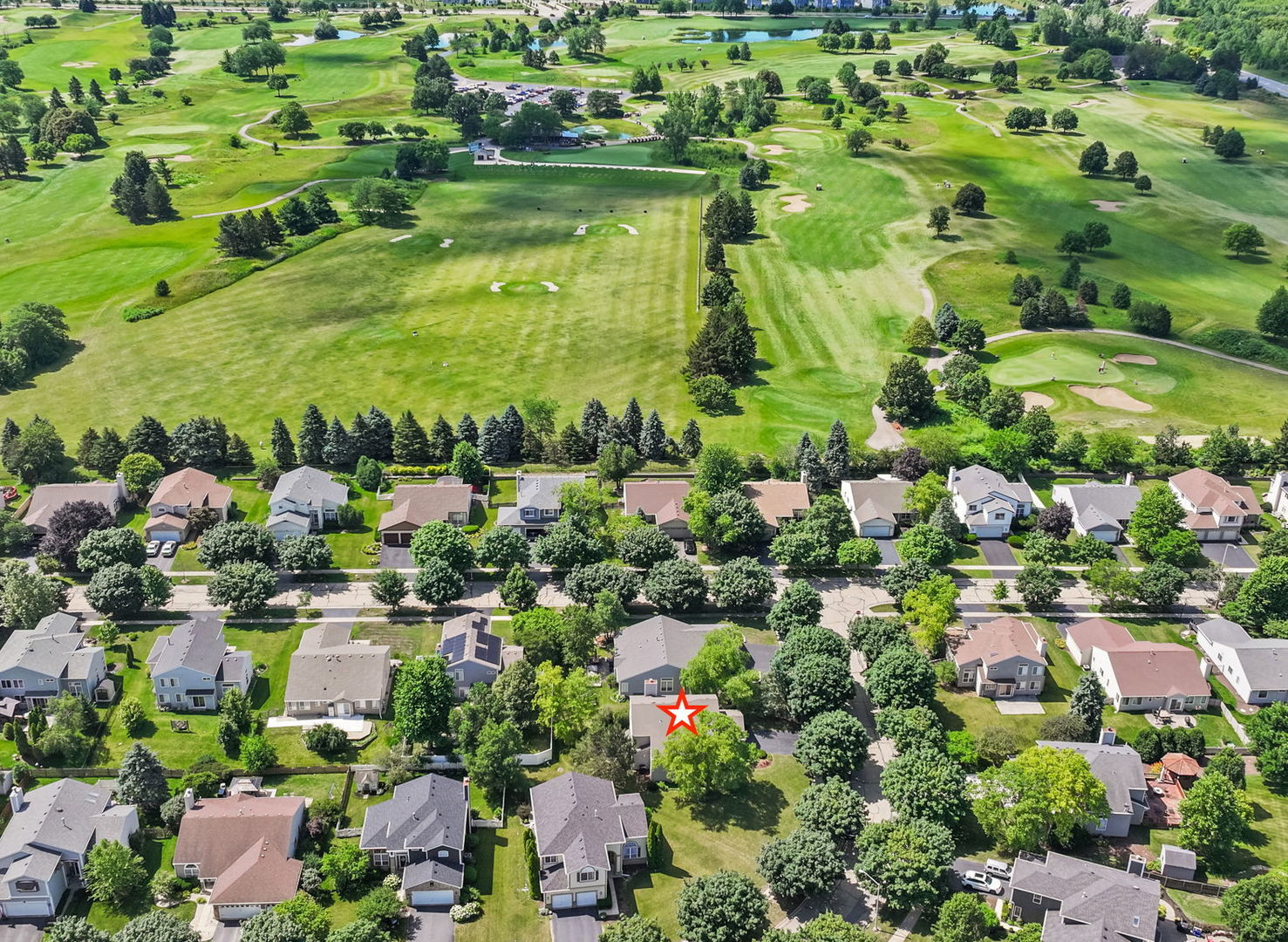 224 Willow Bend Bolingbrook, IL 60490 - Photo 7 of 41 a picture of flowers