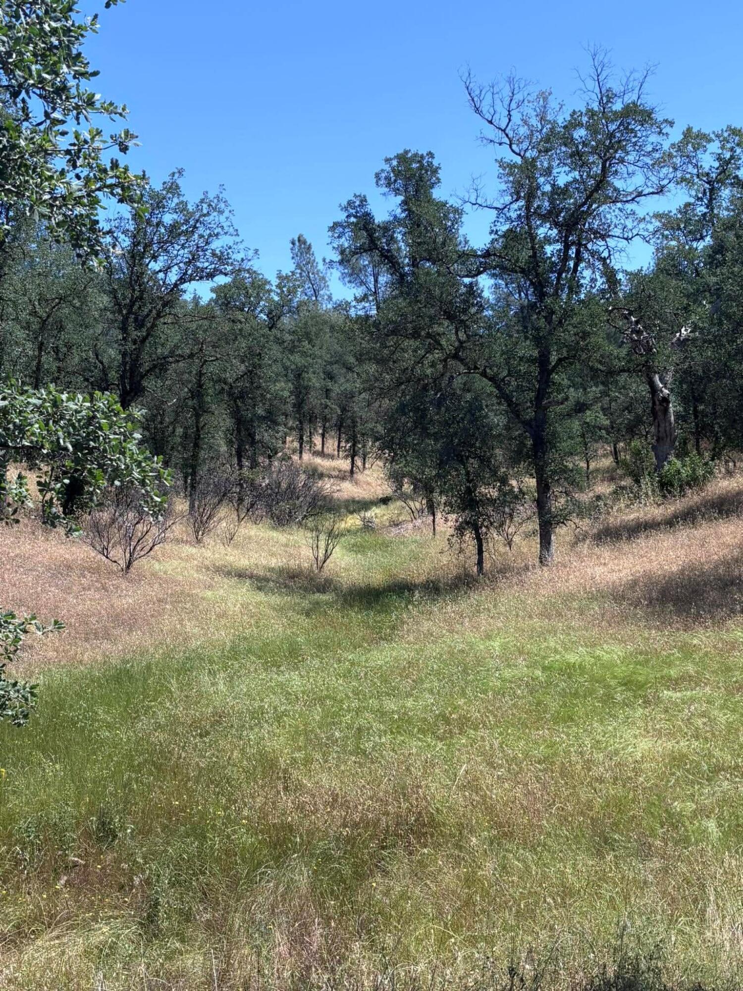 Blue Sky Road Bella Vista, CA 96008 - Photo 3 of 5 3