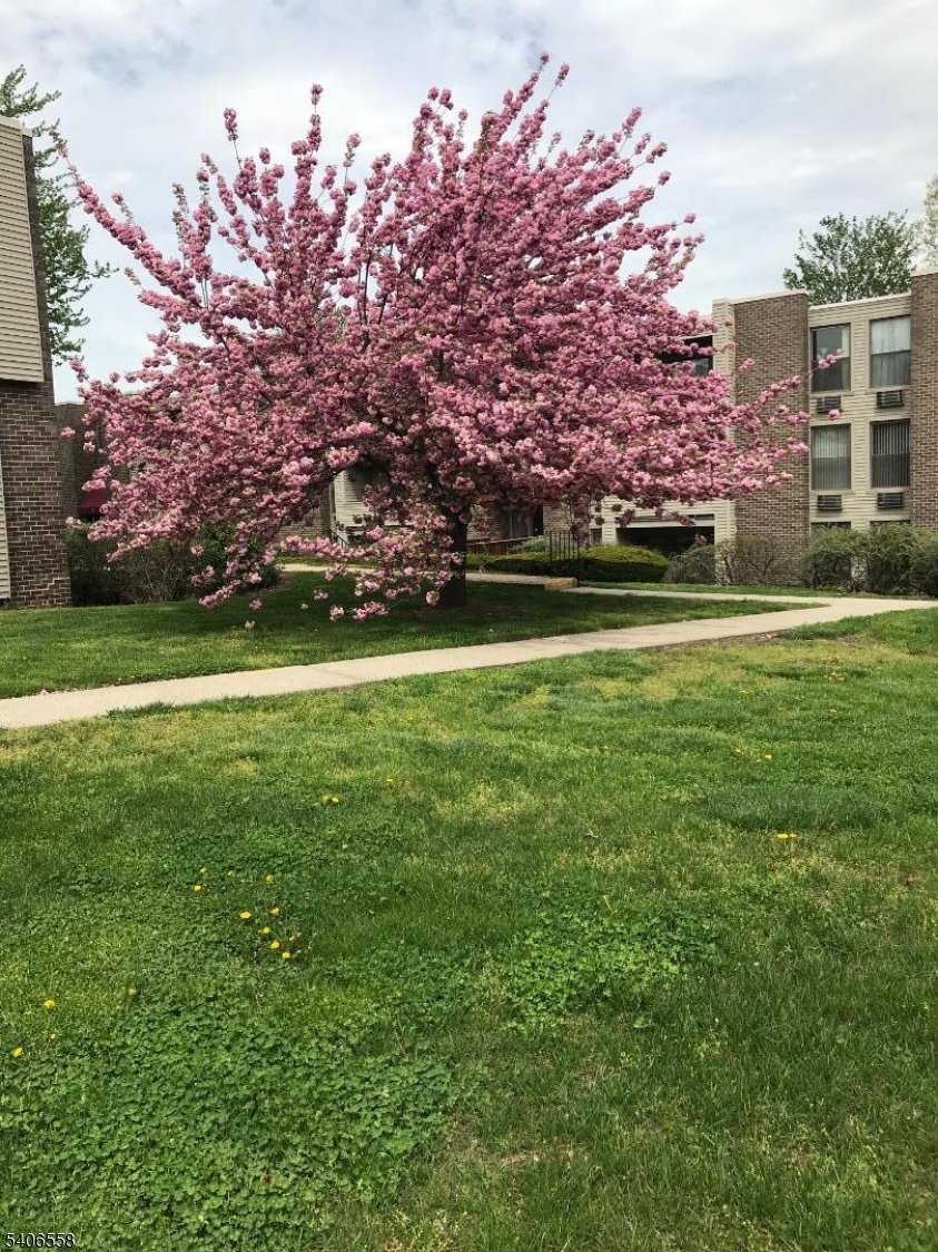 9 River Road, Unit D Nutley, NJ 07110 - Photo 5 of 5