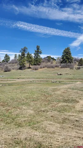 $34,900 | 1335 Hills Circle, Pagosa Springs, CO 81147