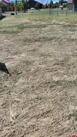 $34,900 | 1335 Hills Circle, Pagosa Springs, CO 81147